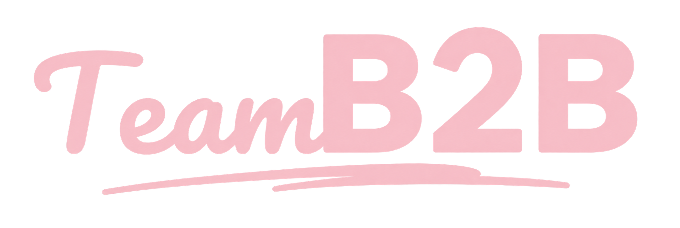 Team B2B